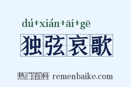 独弦哀歌是什么意思的图片